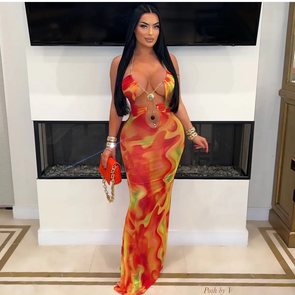 Posh By V Sheer Dress